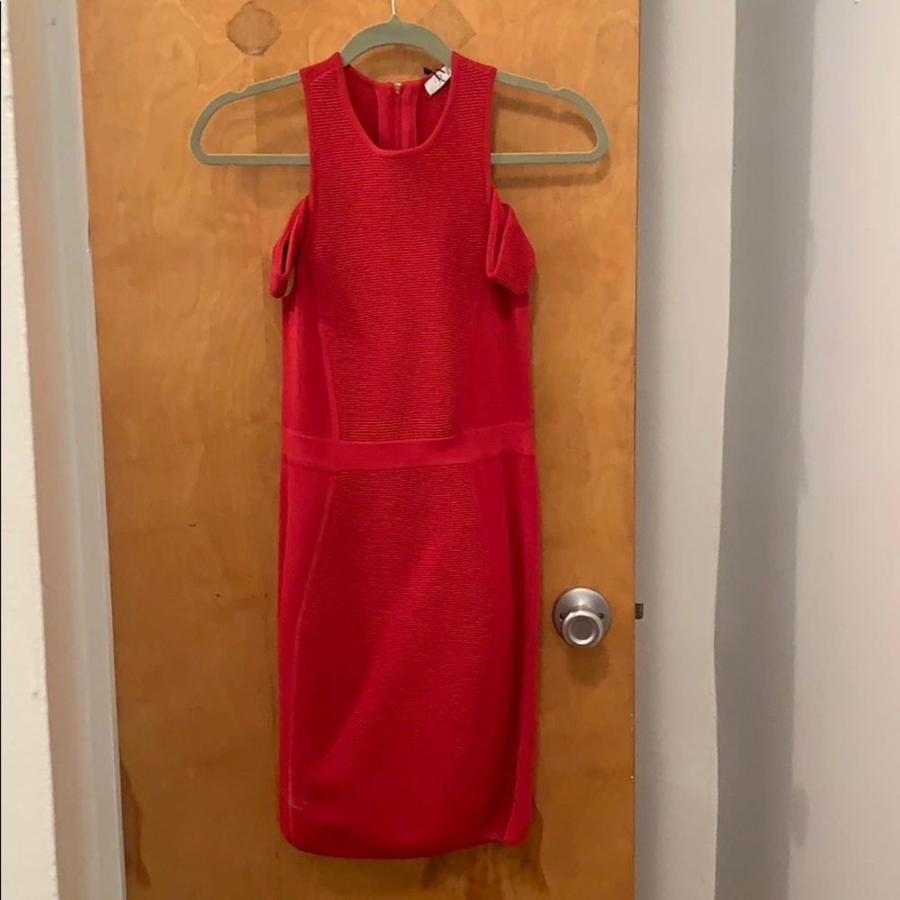 Parker bodycon dress